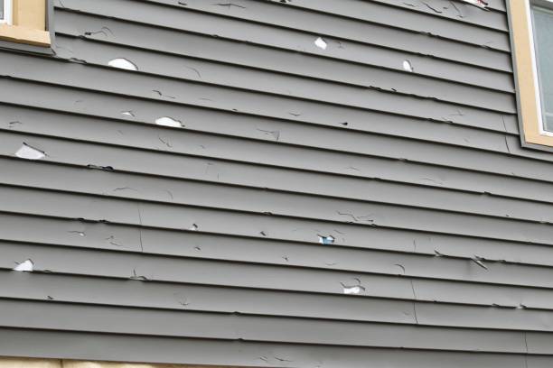 Property Management Cleanouts in Bridgeville, PA